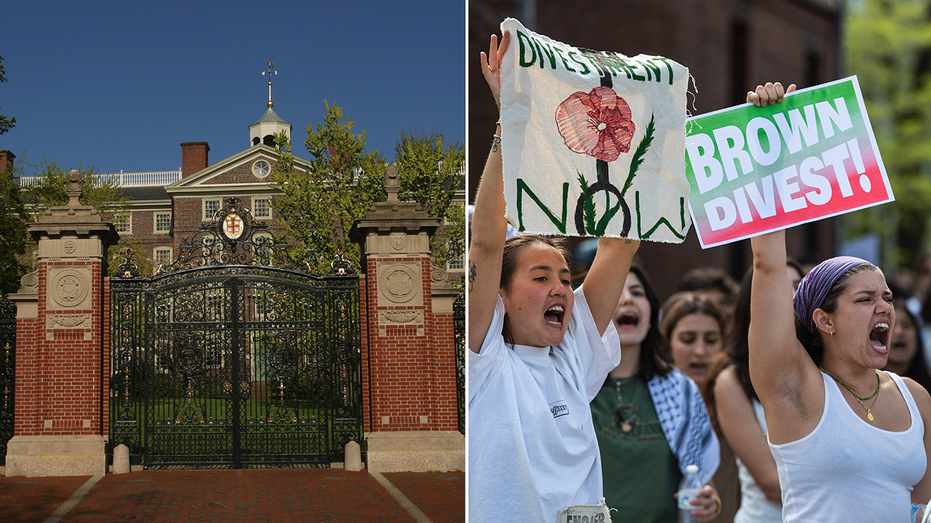 Brown University board trustee announces resignation ahead of vote on divestment from Israel: 'Cowardice'