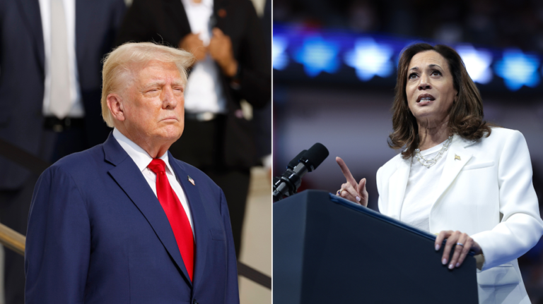 Trump allies offer debate strategies to beat Harris: 'Already knocked one Democrat out'