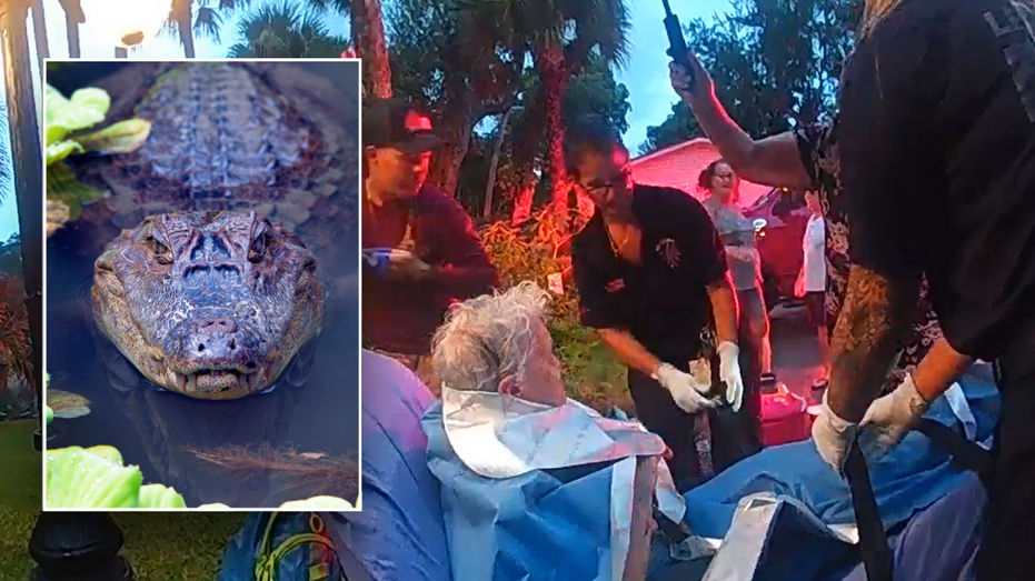 84-year-old Florida woman punches alligator in the face during grisly encounter: 'Like a torpedo'