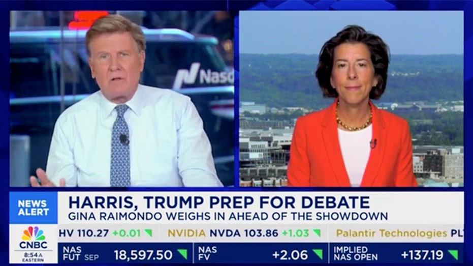 Harris surrogate disagrees after CNBC host calls out VP for avoiding the press: 'Impossible to pin down'