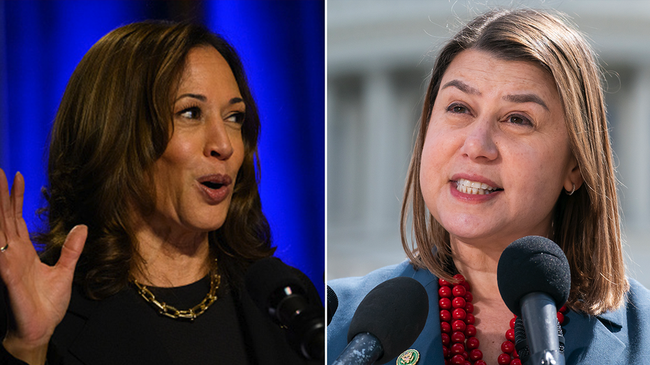 Michigan Democratic Senate hopeful warns Harris is falling behind in critical state: 'Underwater'