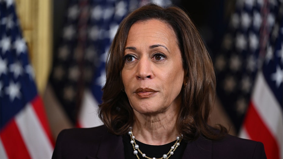 Harris' last-minute border visit shows her campaign knows 'they have to do something,' CNN host says