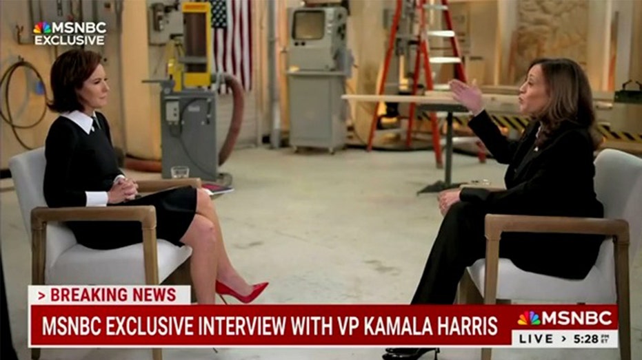 MSNBC's Stephanie Ruhle calls out Harris for dodging how she'd raise taxes: 'She doesn't answer the question'