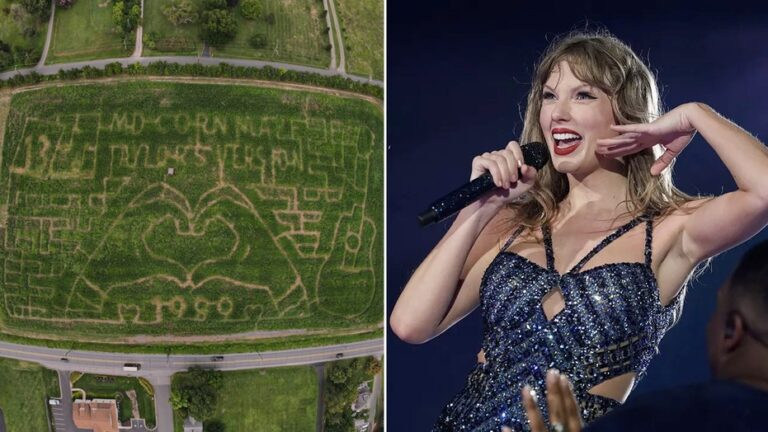 Taylor Swift-themed corn mazes go viral, plus popular US Open cocktail sales revealed