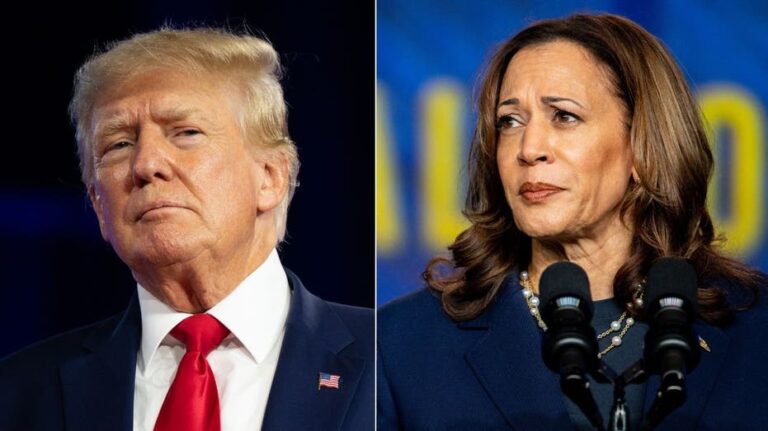 Harris leads in Virginia, a state Trump is aiming to flip: poll