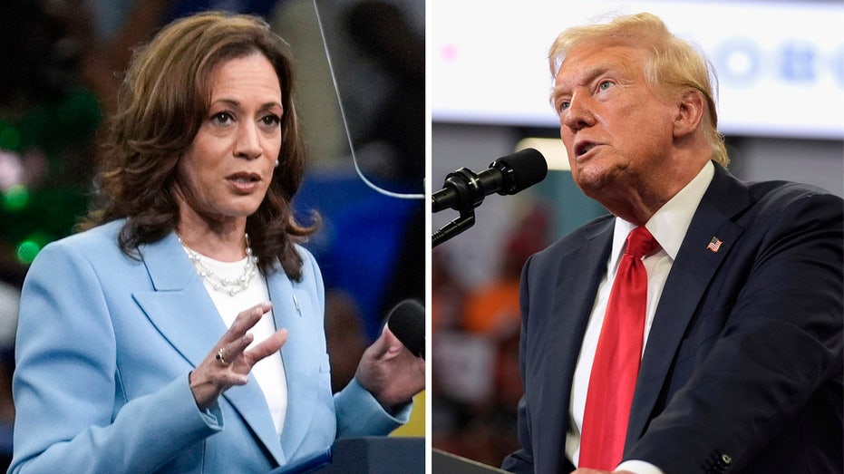 2024 Cash Dash: Harris nearly triples Trump's fundraising last month