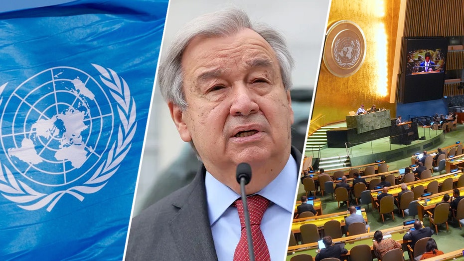 UN's 'Pact for the Future' full of empty promises, will be 'cudgel' to attack the United States, expert warns