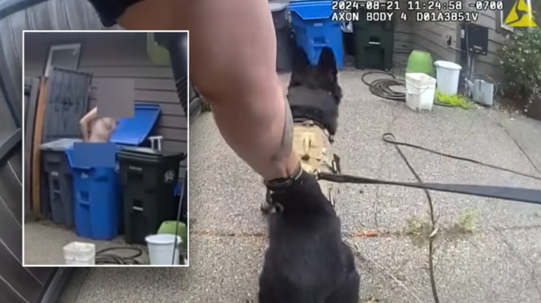 Bodycam footage shows K-9 ending bizarre pursuit involving naked suspect: 'Good boy'