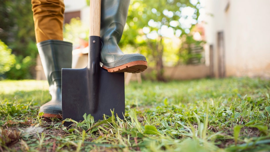 Mom, son dig up ancient object often found near burial grounds while gardening