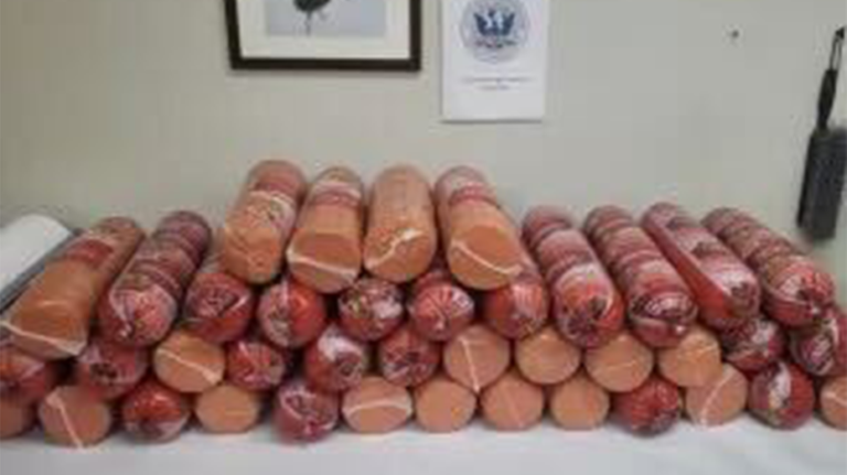 Woman caught smuggling more than 700 pounds of bologna at southern border: CBP