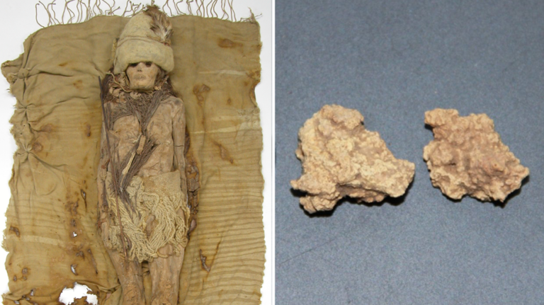 Cheese discovered inside coffin with ancient mummies dates back thousands of years