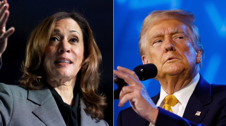 Trump, Harris neck and neck in key states Arizona, Georgia, North Carolina: poll