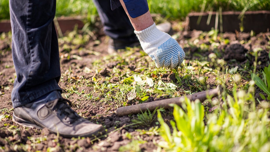 Value of ancient stone unearthed in garden by geography teacher recently revealed