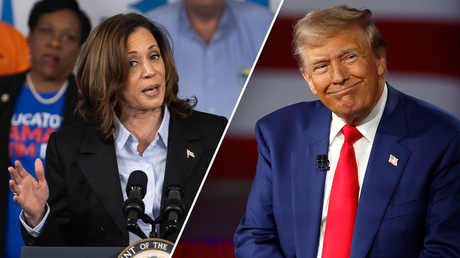 Voters report Kamala Harris is more radical than Trump: 'too liberal or progressive'