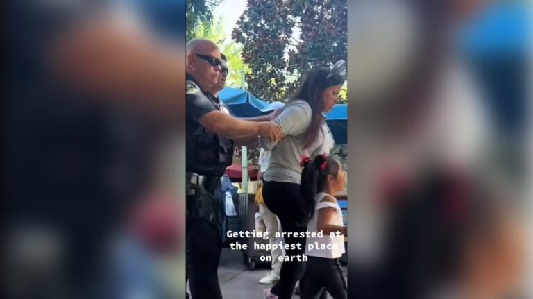 Woman arrested at Disneyland for failing to show ID: video