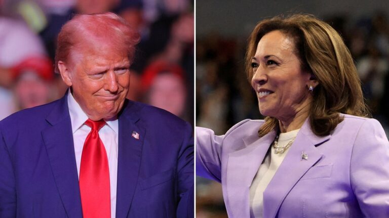 Pennsylvania survey finds Harris leading Trump narrowly, identifies her 'biggest weakness,' pollster says