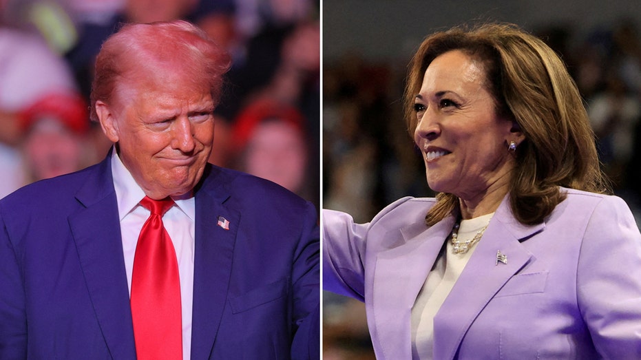 Wisconsin poll shows Harris leading Trump by 4, former president ahead on key issues