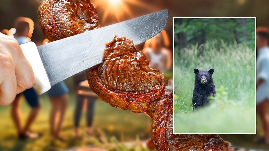 Undercooked bear meat at North Carolina barbecue leaves 10 sickened, says CDC report