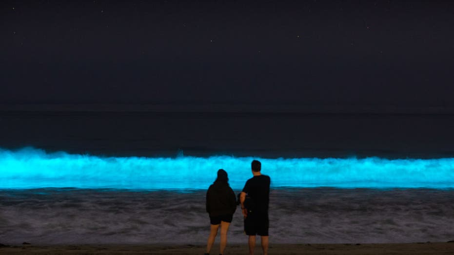 Florida's glowing waters among the natural wonders inspiring travelers in year ahead