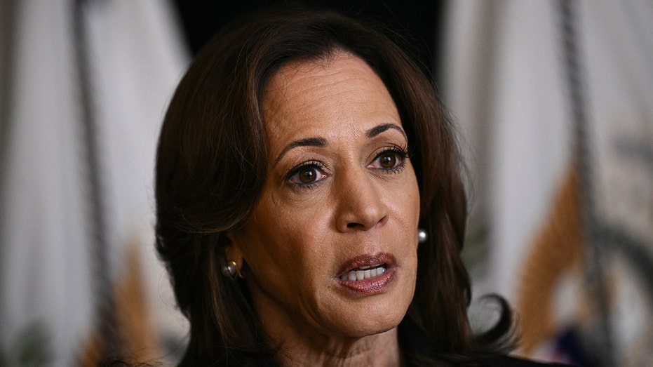 Harris' 'word salad' answer on Israel alliance confounds social media users: 'Someone please interpret'