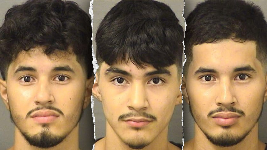 Illegal immigrants arrested in wealthy Florida county for sexual crimes against a child