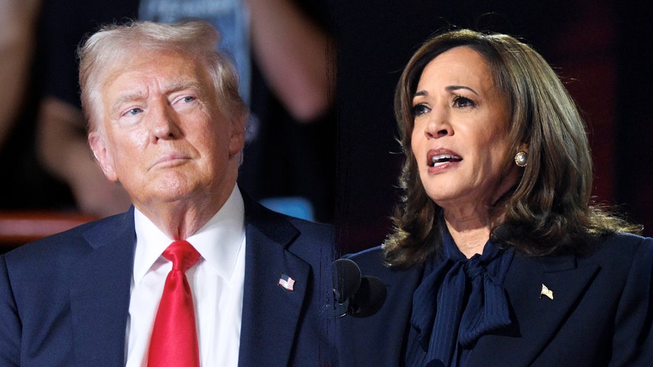 Trump, Harris locked in dead heat in 7 battleground states, poll finds: 'Could not be closer'