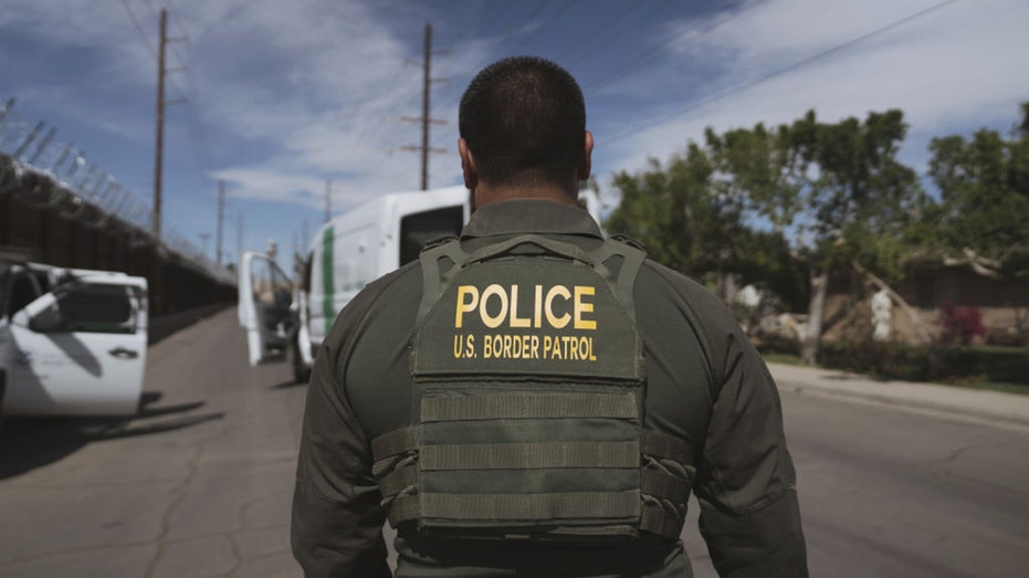 Border Patrol, ICE morale surging after Trump election win: 'They know they can get the bad guys now'