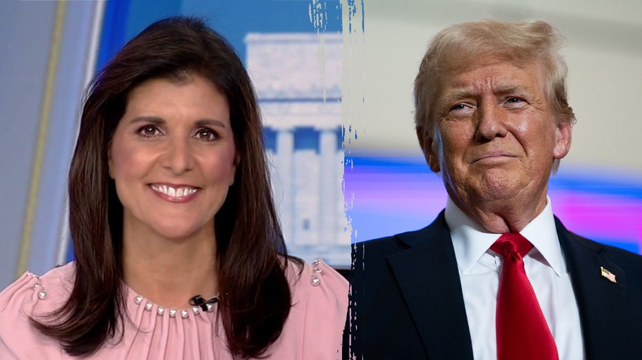 Nikki Haley responds after Trump says she won't be part of new cabinet, says she wishes him 'great success'