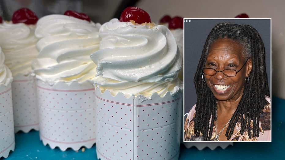 JONATHAN TURLEY: Why defamation suit against Whoopi Goldberg could be piece of cake