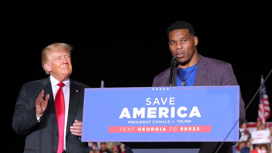 New mission for longtime Trump ally and friend Herschel Walker