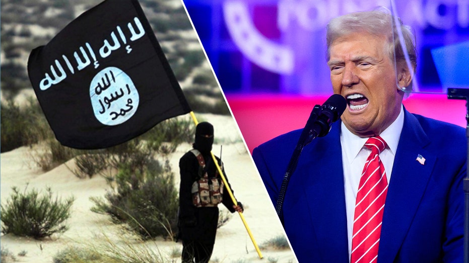 Trump could face renewed ISIS threat in Syria as Turkey goes after US ally