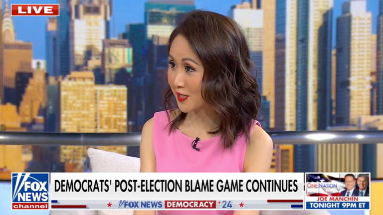 DNC powerhouse fundraiser announces exit from Democratic Party following attacks: 'It's like leaving a cult'