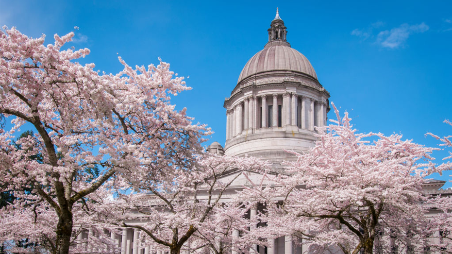 Washington state Democrats accidentally email their ‘radical’ tax plan to entire Senate