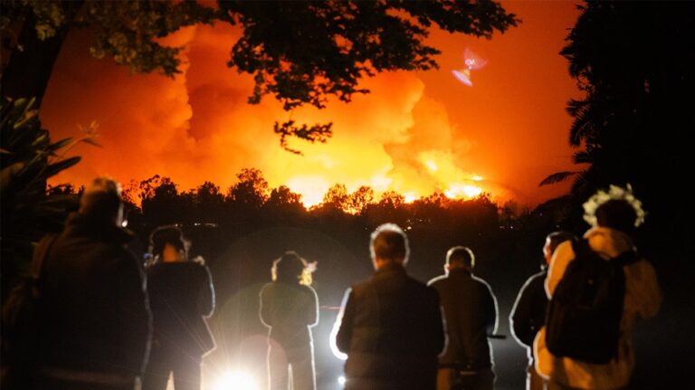 Los Angeles wildfires: City's infamous red tape preventing private security from helping homeowners, firms say